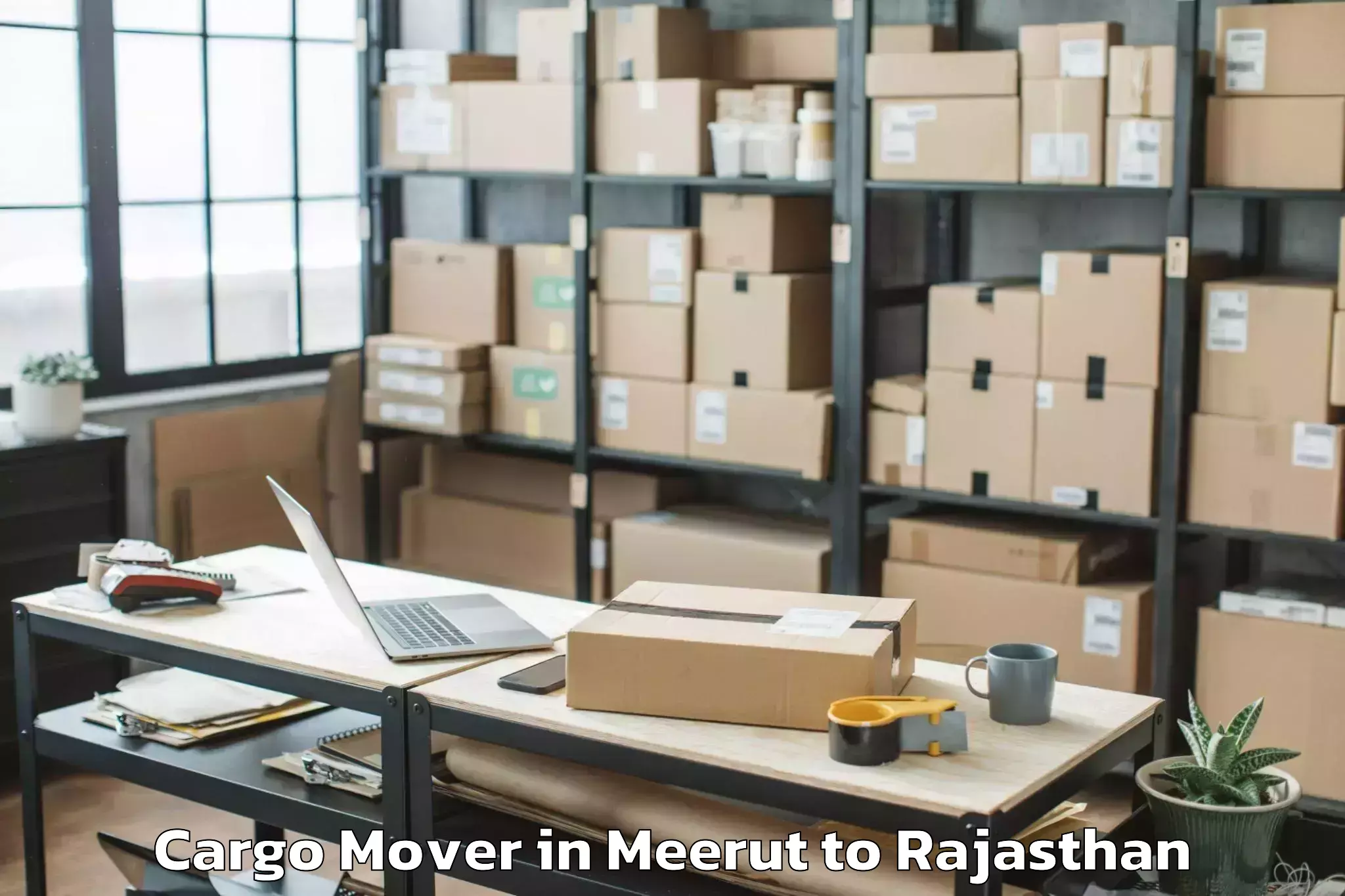 Top Meerut to Niit University Neemrana Cargo Mover Available